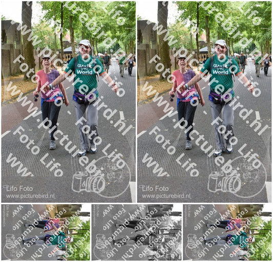 Evenement foto: Nijmeegse Vierdaagse 781