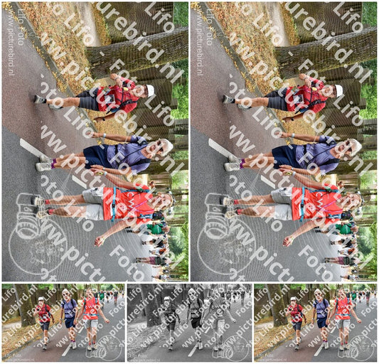Evenement foto: Nijmeegse Vierdaagse 781