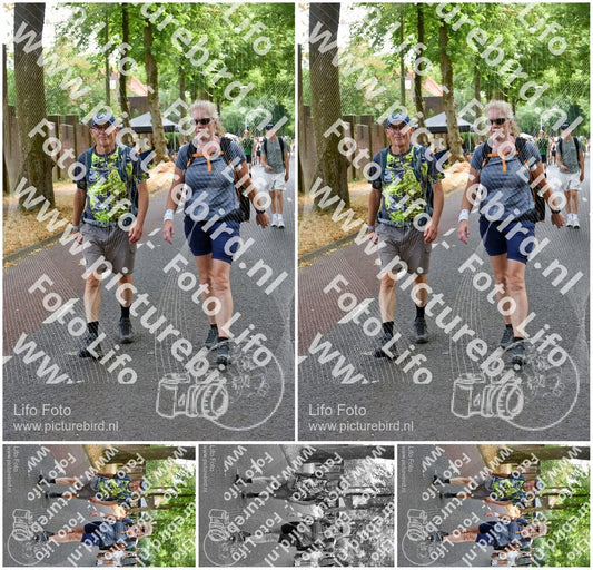Evenement foto: Nijmeegse Vierdaagse 781