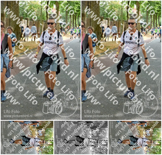 Evenement foto: Nijmeegse Vierdaagse 781