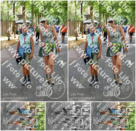 Evenement foto: Nijmeegse Vierdaagse 781