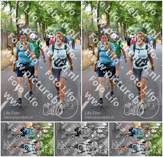 Evenement foto: Nijmeegse Vierdaagse 781