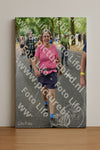 Evenement foto: Nijmeegse Vierdaagse 781