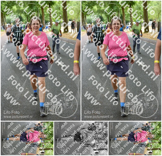 Evenement foto: Nijmeegse Vierdaagse 781