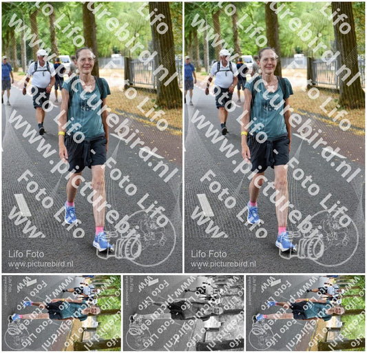 Evenement foto: Nijmeegse Vierdaagse 781