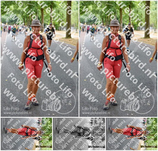 Evenement foto: Nijmeegse Vierdaagse 781