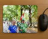 Evenement foto: Nijmeegse Vierdaagse 781