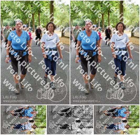 Evenement foto: Nijmeegse Vierdaagse 781