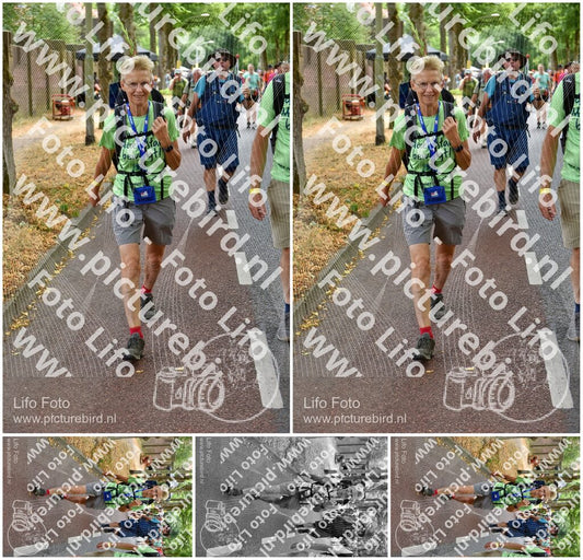 Evenement foto: Nijmeegse Vierdaagse 781