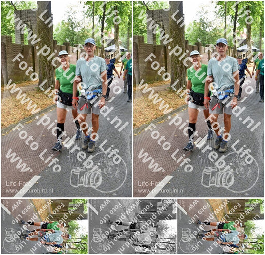 Evenement foto: Nijmeegse Vierdaagse 781