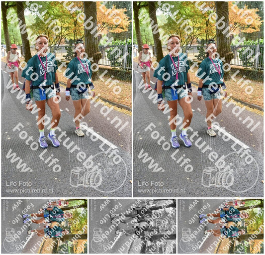 Evenement foto: Nijmeegse Vierdaagse 781