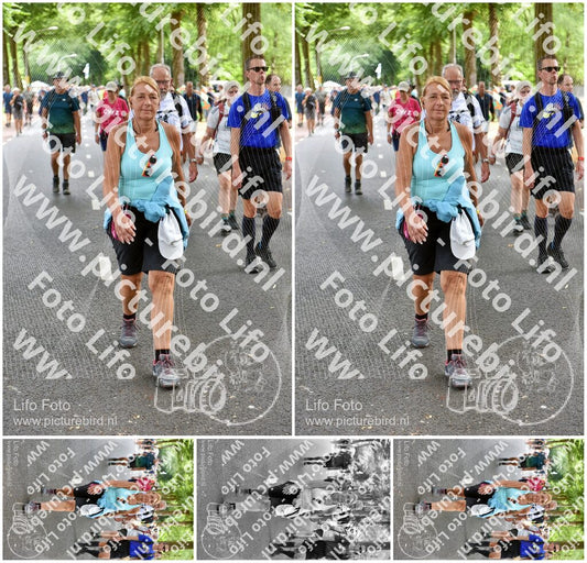 Evenement foto: Nijmeegse Vierdaagse 781