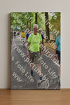 Evenement foto: Nijmeegse Vierdaagse 781