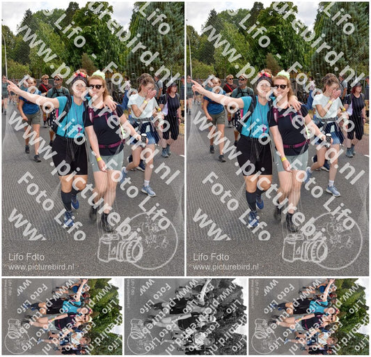 Evenement foto: Nijmeegse Vierdaagse 780
