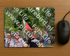 Evenement foto: Nijmeegse Vierdaagse 780