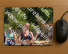 Evenement foto: Nijmeegse Vierdaagse 780