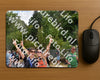Evenement foto: Nijmeegse Vierdaagse 780