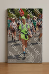 Evenement foto: Nijmeegse Vierdaagse 780