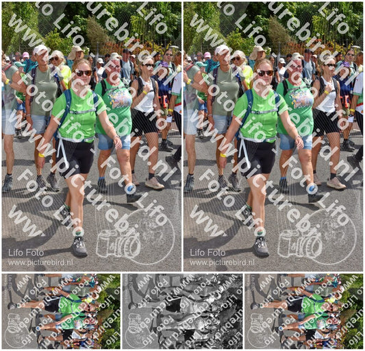Evenement foto: Nijmeegse Vierdaagse 780