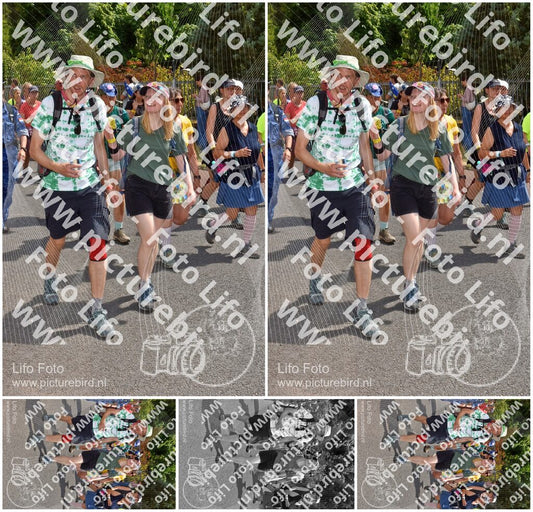 Evenement foto: Nijmeegse Vierdaagse 780