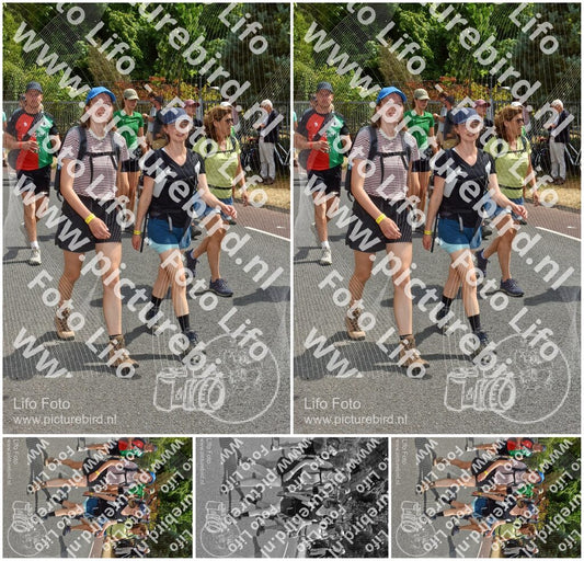 Evenement foto: Nijmeegse Vierdaagse 780