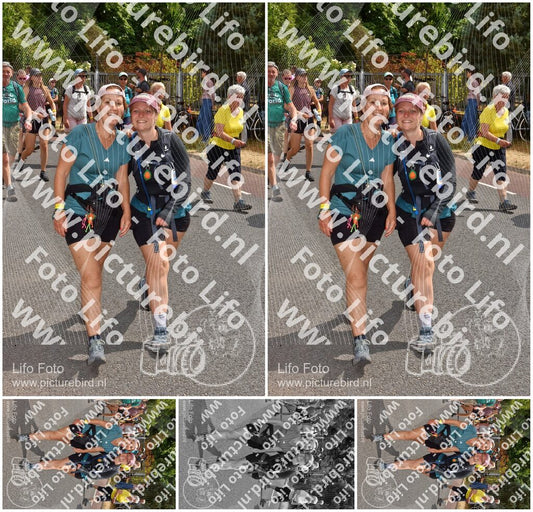 Evenement foto: Nijmeegse Vierdaagse 780