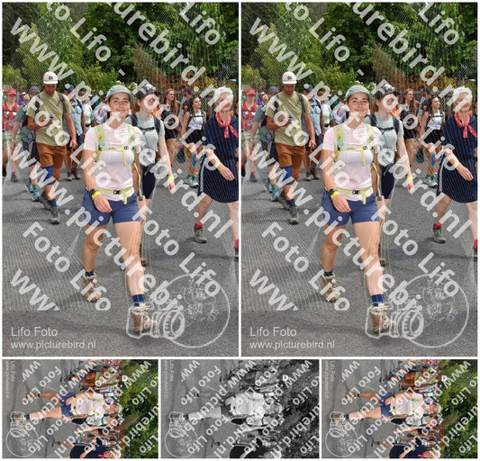 Evenement foto: Nijmeegse Vierdaagse 780