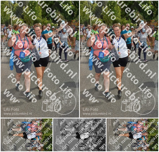 Evenement foto: Nijmeegse Vierdaagse 780