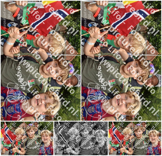 Evenement foto: Nijmeegse Vierdaagse 780