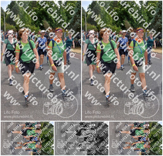 Evenement foto: Nijmeegse Vierdaagse 780