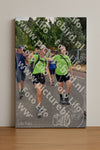 Evenement foto: Nijmeegse Vierdaagse 780