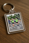 Evenement foto: Nijmeegse Vierdaagse 780
