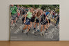 Evenement foto: Nijmeegse Vierdaagse 780