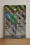 Evenement foto: Nijmeegse Vierdaagse 780
