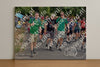Evenement foto: Nijmeegse Vierdaagse 780