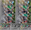 Evenement foto: Nijmeegse Vierdaagse 780