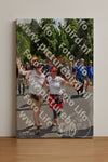 Evenement foto: Nijmeegse Vierdaagse 780