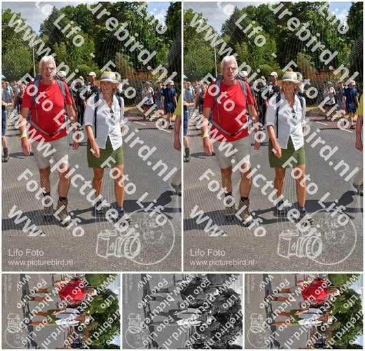Evenement foto: Nijmeegse Vierdaagse 780