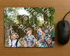 Evenement foto: Nijmeegse Vierdaagse 779