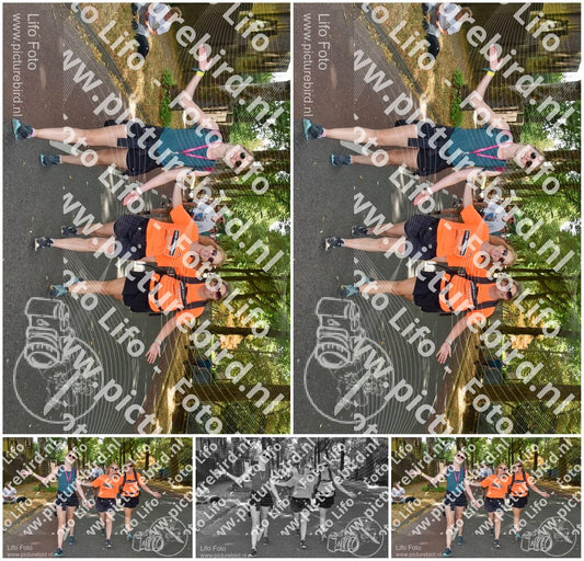 Evenement foto: Nijmeegse Vierdaagse 779