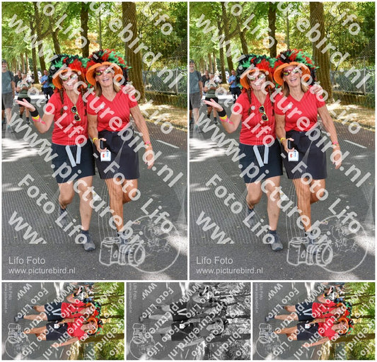 Evenement foto: Nijmeegse Vierdaagse 779