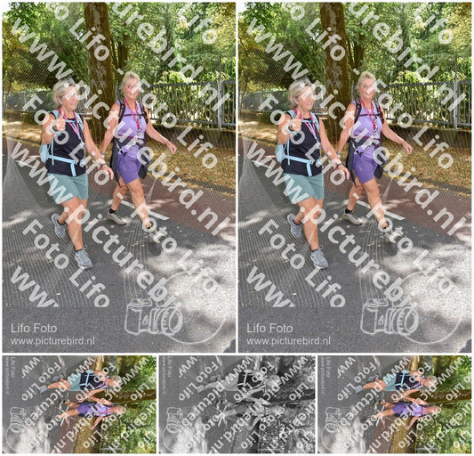 Evenement foto: Nijmeegse Vierdaagse 779