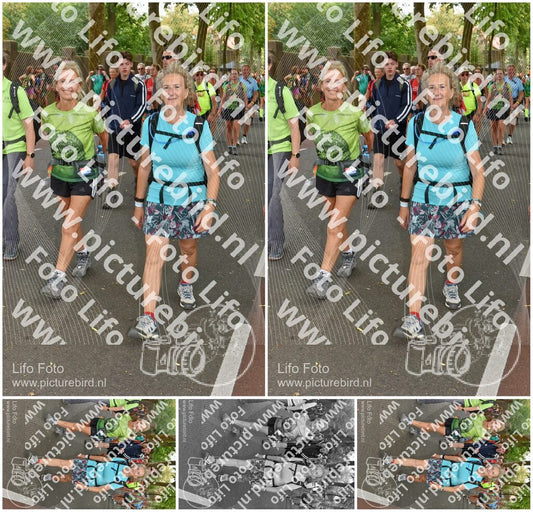 Evenement foto: Nijmeegse Vierdaagse 779