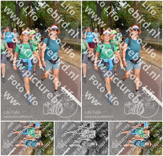 Evenement foto: Nijmeegse Vierdaagse 779