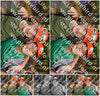 Evenement foto: Nijmeegse Vierdaagse 779