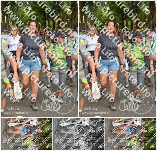Evenement foto: Nijmeegse Vierdaagse 779