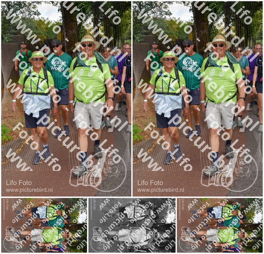 Evenement foto: Nijmeegse Vierdaagse 779