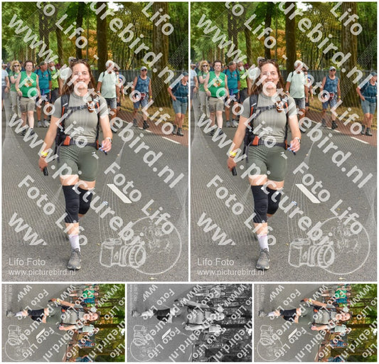 Evenement foto: Nijmeegse Vierdaagse 779