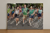 Evenement foto: Nijmeegse Vierdaagse 779