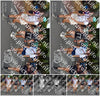 Evenement foto: Nijmeegse Vierdaagse 779